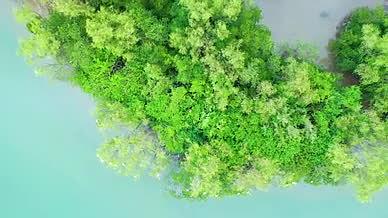 4k航拍自然风光大自然树上的白鹭空镜头视频的预览图